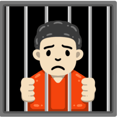Jail Inmate Search Guide